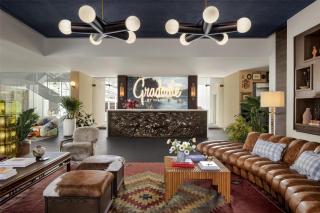 Graduate by Hilton Dallas - Dallas - 0