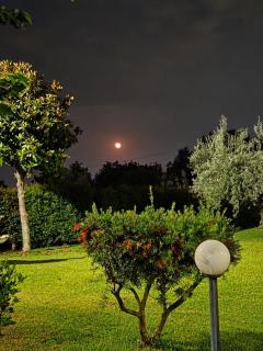 B&B BOUTIQUE DI CHARME "ETNA-RELAX-NATURA" - 1