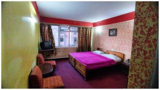HOTEL !Shambh-u - Darjeeling Luxury & Spacious Room - Free Wifi - Parking & Restaurant Facilites - Best Hotel Darjeeling - Darjeeling - 4