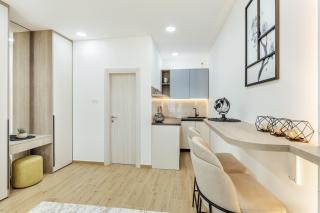 Swisslion Studios - 8