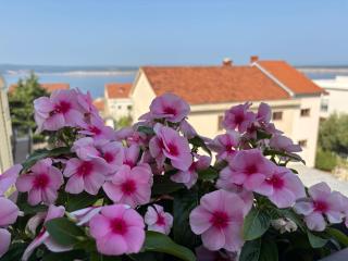 Family Apartment in Dramalj (Crikvenica) - Dramalj - 9