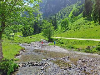 Ferienhaus Hinterhabneralm - - 7