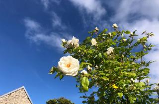 Maison de campagne, 5 min des plages - Loctudy - 5