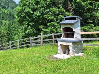 Ferienhaus Hinterhabneralm - - 8