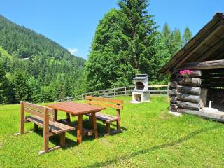 Ferienhaus Hinterhabneralm - - 9