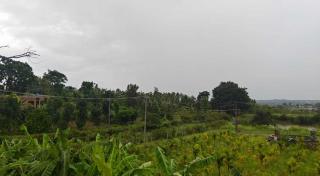 Osr Aramane - - 3