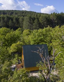 Pinehouse Urtkhva in Surami - 0