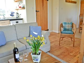 Blenheim Cottage-19652 - Peasmarsh - 0