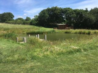 Lower Shippen - 23493 - North Petherwin - 3