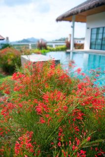 Beautiful secluded standalone villa with private pool - Ban Benyaphat - 9