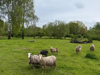 Glempings Mācītājmuiža - 2