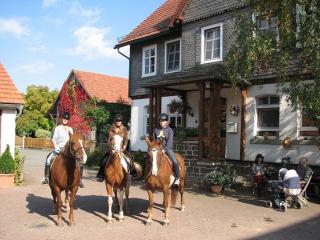 Reiterlandhof - Neukirchen - 0