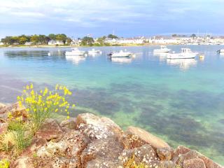 Chalet cosy, plages à pieds. Morbihan. - Plouhinec - 2