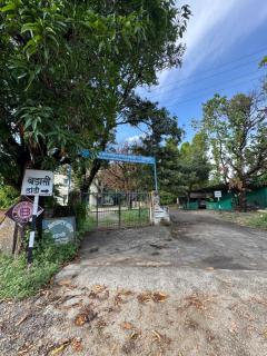 Vida Homestay - - 8