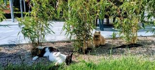 Apartamenty Lumax - 8