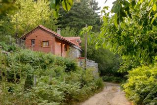 Pine Forest Chalet 1400m, Cinema & Fireplace - 5