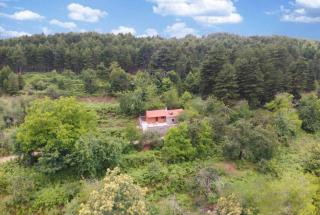 Pine Forest Chalet 1400m, Cinema & Fireplace - 4