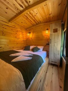 Elfida Tinyhouse - Çamlıhemşin - 8