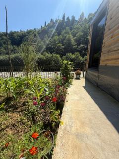 Elfida Tinyhouse - Çamlıhemşin - 7