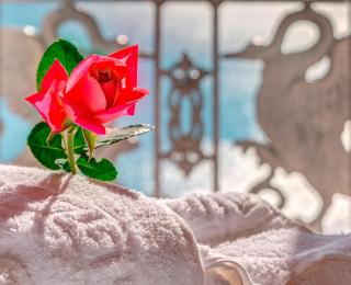 Veranda Syros House - Ermoupoli - 5