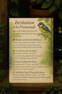 Les oiseaux de passage - chambre d hôtes, paisible - Gaillon - 4
