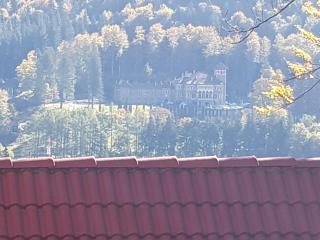 Apartament Kalinderu K3 Busteni - Buşteni - 6