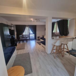 Apartament Kalinderu K3 Busteni - Buşteni - 7