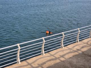 Best Ocean View House - Pohang - 0