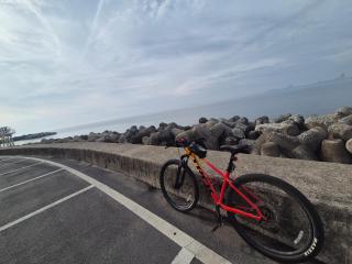 Best Ocean View House - Pohang - 4