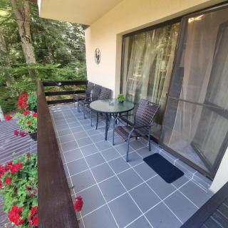 Apartament Kalinderu K3 Busteni - Buşteni - 8