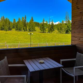 Chalet Deluț - Suceava - 4