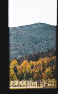 Chalet Deluț - Suceava - 5