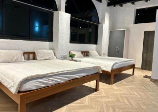 Malama Stay The Mist 4BHK Pawna - 4