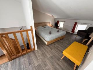 L'endormi - Centre ville - WIFI et NETFLIX - Clermont-Ferrand - 3