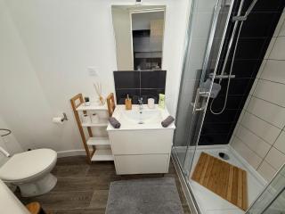 L'endormi - Centre ville - WIFI et NETFLIX - Clermont-Ferrand - 6