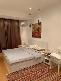 Flat very cozy - Bishkek - 3