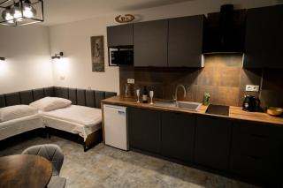 Apartamenty pod Gromadzyniem Górski Relaks - Skorka - 8