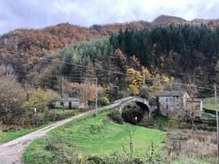 Appartamento Ponte Nuovo Premilcuore - Premilcuore - 0