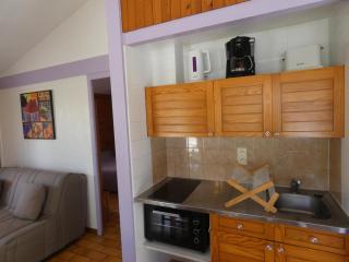 Les helianthemes - Brocas - 4