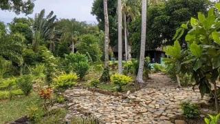 Lokobe lodge - Nosy Be - 4