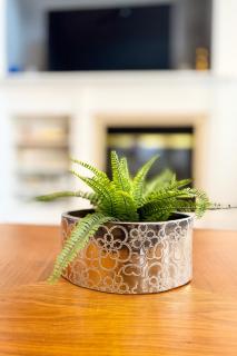 Large 5-Bedroom Gem - Stylish, Spacious, Well-Located - 3