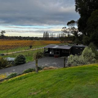 Tiny Home Container house Above the Vines - - 9