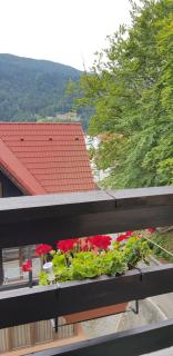 Apartament Kalinderu K3 Busteni - Buşteni - 9