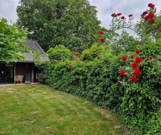 Rozenhofje Asselt - Roermond - Swalmen - 9