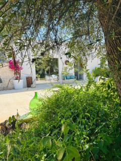 AD&DIMORE L'ANTICO TRULLO - Polignano a Mare - 6