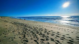 Eco-Villa en bois au calme à 5 min des plages - - 5