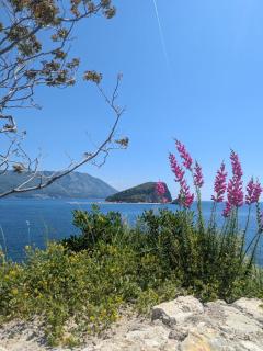 Blue Horizon by the Sea - Ulcinj - 0