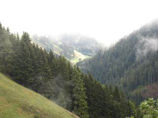 Berggut Niggler - Pratum - - 3