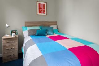 Cozy ensuite room near City Centre - Dublin - 1
