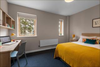Cozy ensuite room near City Centre - Dublin - 2
